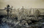 Grab von Alois Deglmann