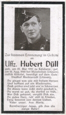 Hubert D&uuml;ll